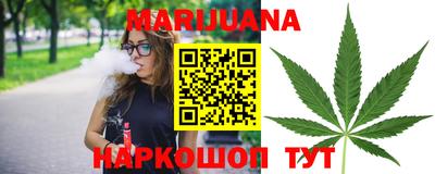 крисы Краснодар