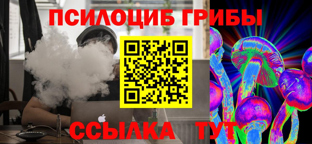Кимовск  Псилоцибиновые грибы мицелий  Вход с VPN  Галлюциногенные грибы прущие грибы 